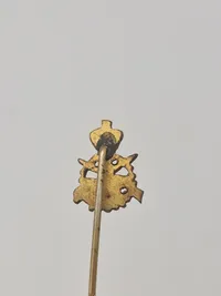 Samling diverse pins