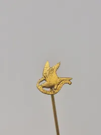 Samling diverse pins