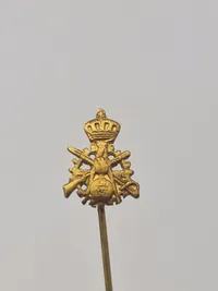 Samling diverse pins