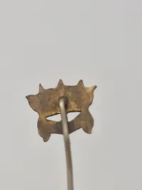 Samling diverse pins