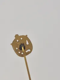 Samling diverse pins