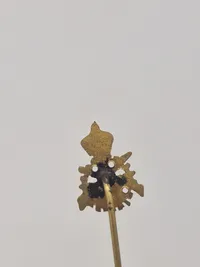 Samling diverse pins
