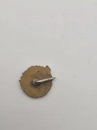 Samling diverse pins