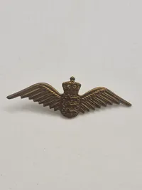 Samling diverse pins
