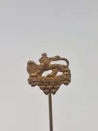 Samling diverse pins