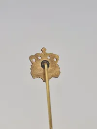 Samling diverse pins