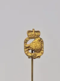 Samling diverse pins