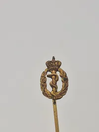 Samling diverse pins