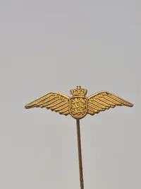 Samling diverse pins