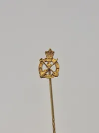 Samling diverse pins