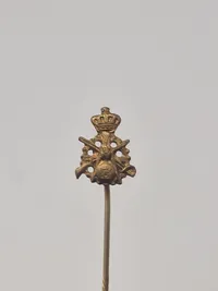 Samling diverse pins