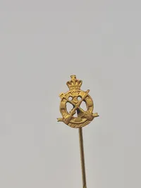 Samling diverse pins