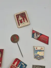 Samling diverse pins