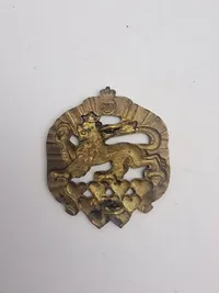 Originalt regiments mærke - 8 regiment