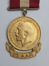 Navngiven 25 års medalje