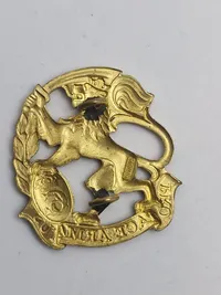 To baretmærker fra Jydske Brigade (gamle pudsemærker)