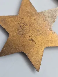 “The aircrew Europe star copy