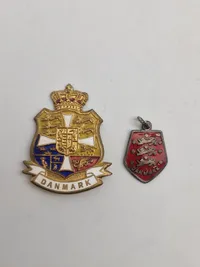 Originale nationale pins
