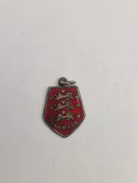 Originale nationale pins