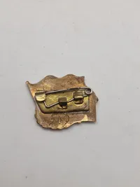Samling russiske badges