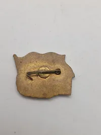 Samling russiske badges