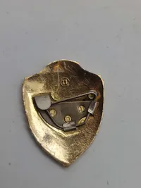 Samling russiske badges