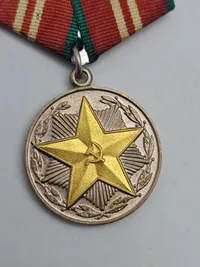 medalje "For upåklagelig tjeneste" (Medal "For Impeccable Service")