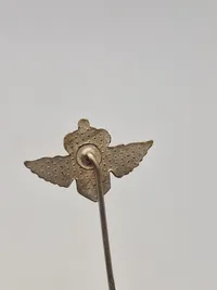 Samling diverse pins