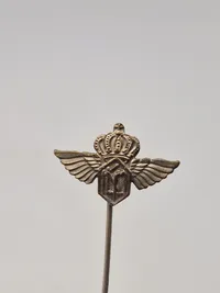 Samling diverse pins