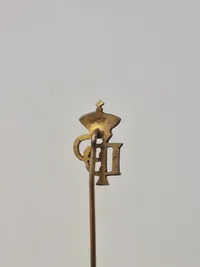 Samling diverse pins