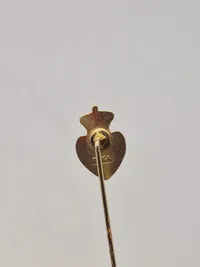 Samling diverse pins