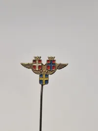 Samling diverse pins