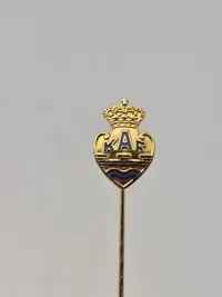 Samling diverse pins