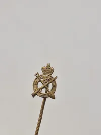 Samling diverse pins