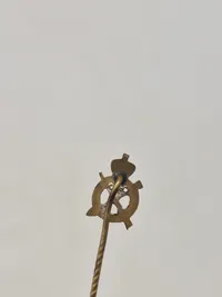 Samling diverse pins