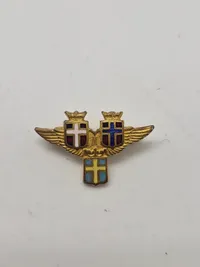 Samling diverse pins