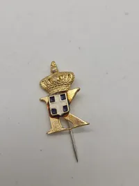Samling diverse pins