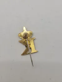 Samling diverse pins
