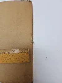 Billede af Stauning