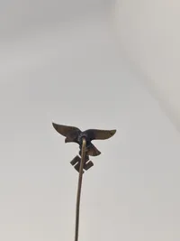 Original tysk Luftwaffe nål