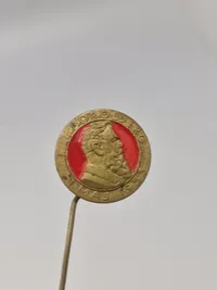 Original ungarsk mindesmedalje og pin