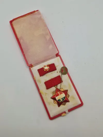 Original ungarsk mindesmedalje og pin