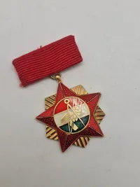 Original ungarsk mindesmedalje og pin