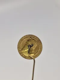 Original ungarsk mindesmedalje og pin