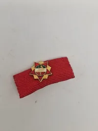 Original ungarsk mindesmedalje og pin