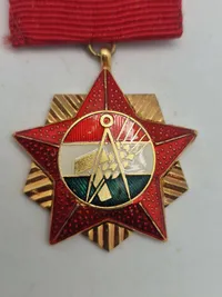 Original ungarsk mindesmedalje og pin