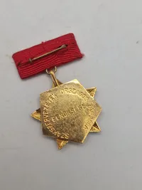Original ungarsk mindesmedalje og pin