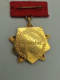 Original ungarsk mindesmedalje og pin