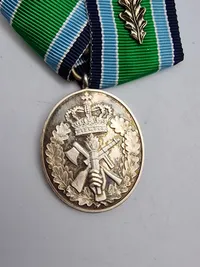 Original medalje for 40 års frivillig tjeneste i hjv - sølv