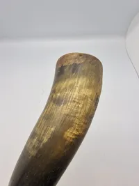 Originalt krudthorn af ben